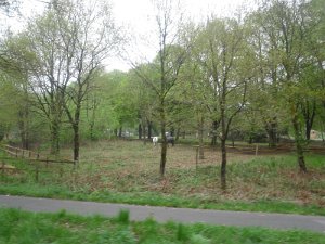 Buchholz 2010 090